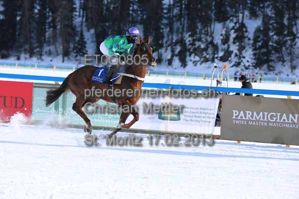 ET0Q0805 prot